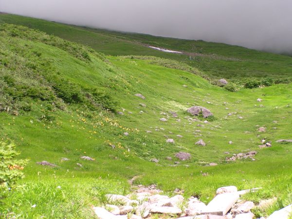 徒歩姥沢小屋へ東コース