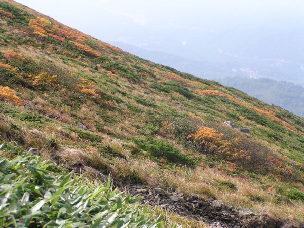 ここから急斜面