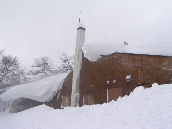 落雪