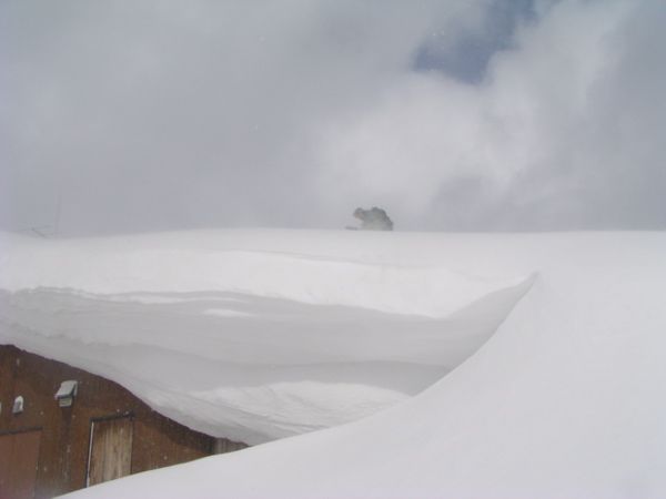 屋根の上に