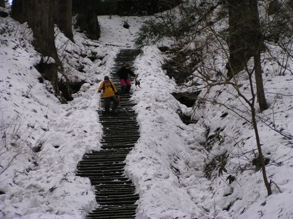 雪が少ない