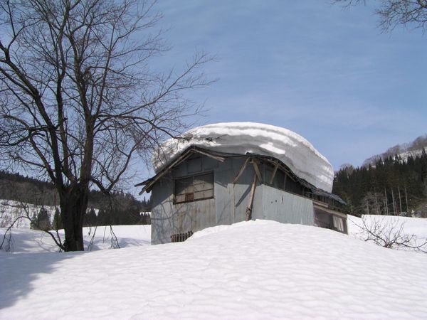 「ぬき」の折れた作業小屋