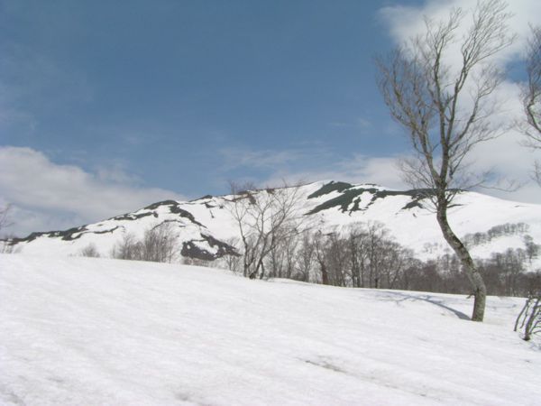 広大な裾野