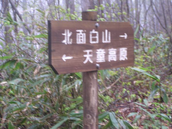 里山の魅力