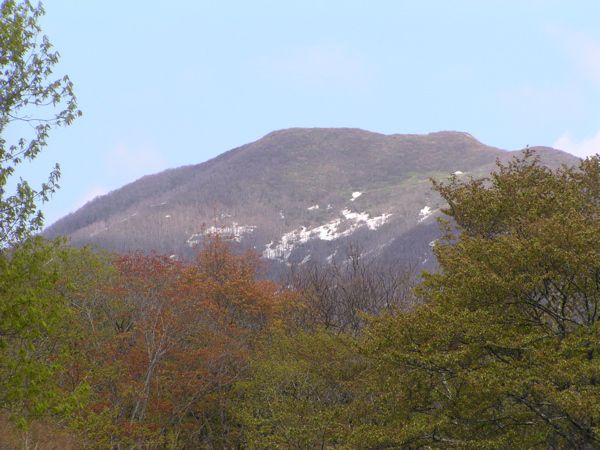 高原から