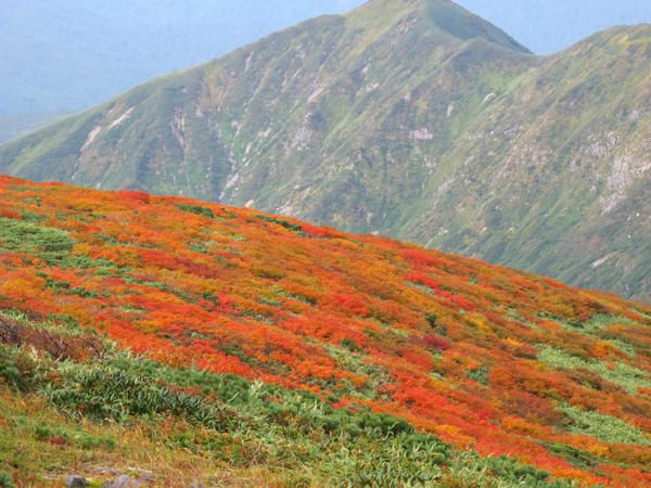 往路の風景　2