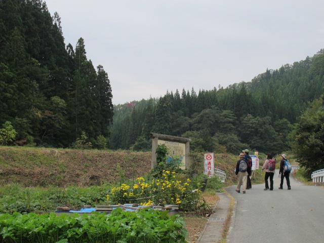 妙見の池