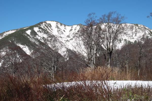 湯殿山