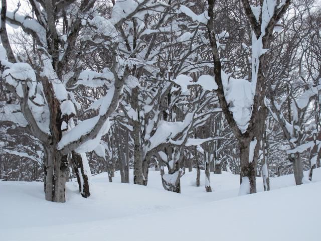 多雪の中で