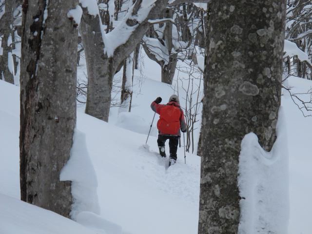 フか雪の中で