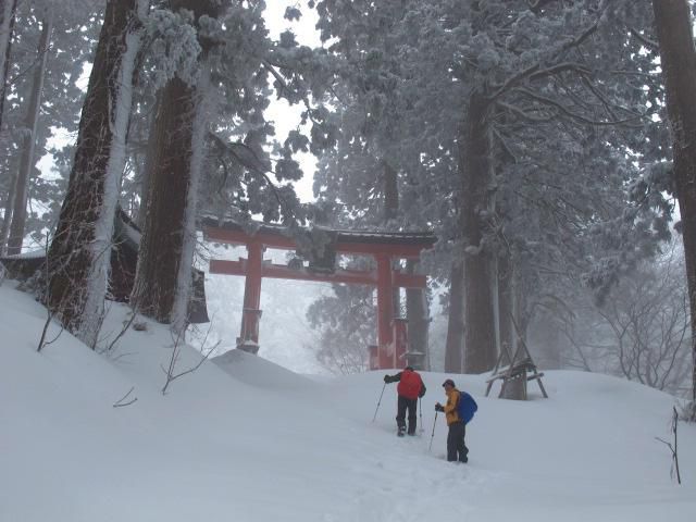 鳥居(正門）