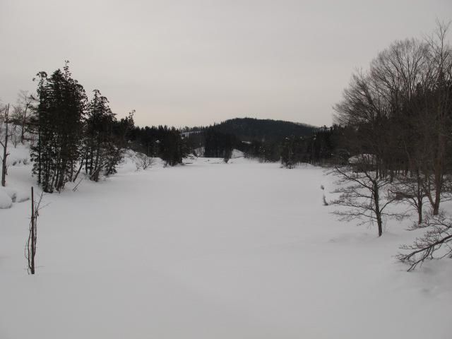 沼は雪の中