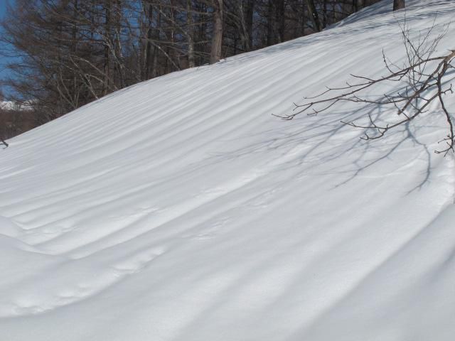 雪解け春模様