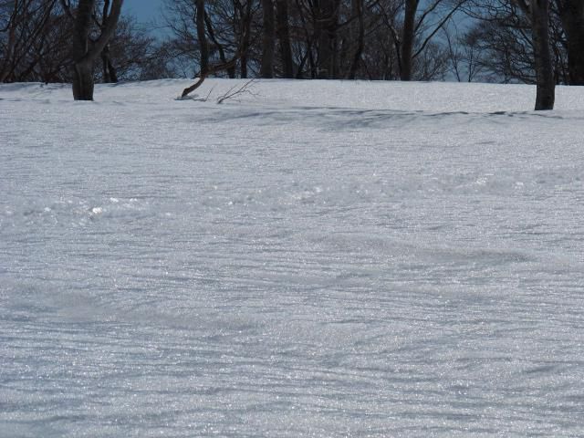 雪皮踊る