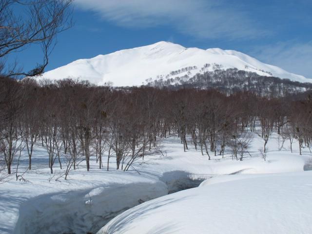 下皮松沼より