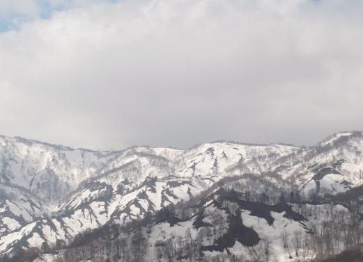 対岸風景