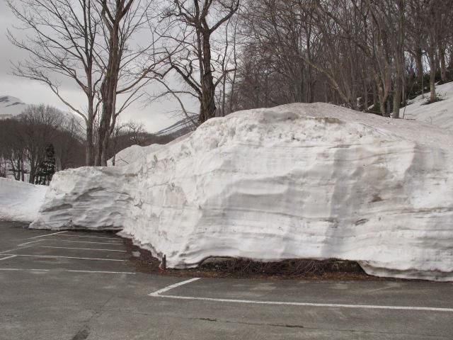 雪解け進む