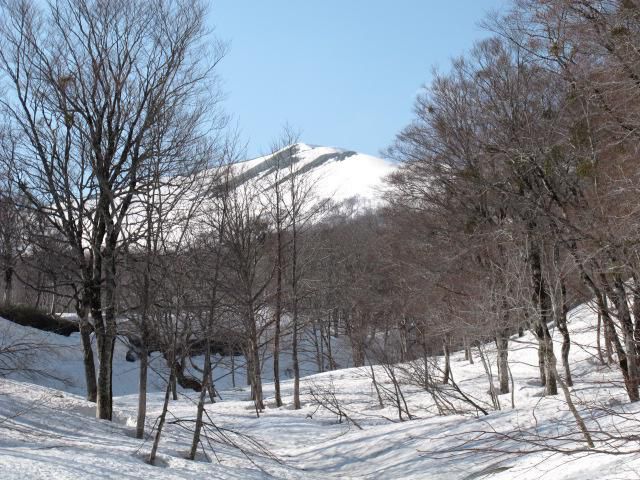 例の崩れあたり