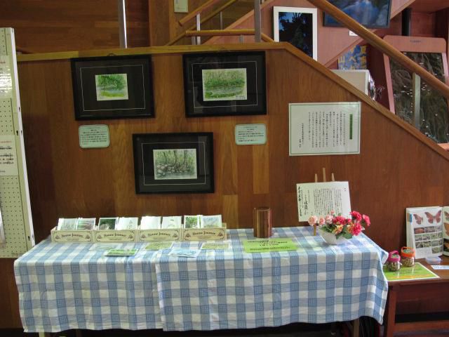 スケッチ月例展示他