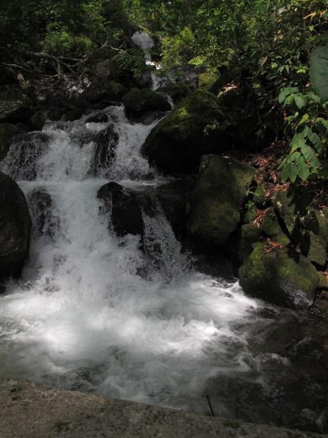 地蔵沼周辺　（滝）