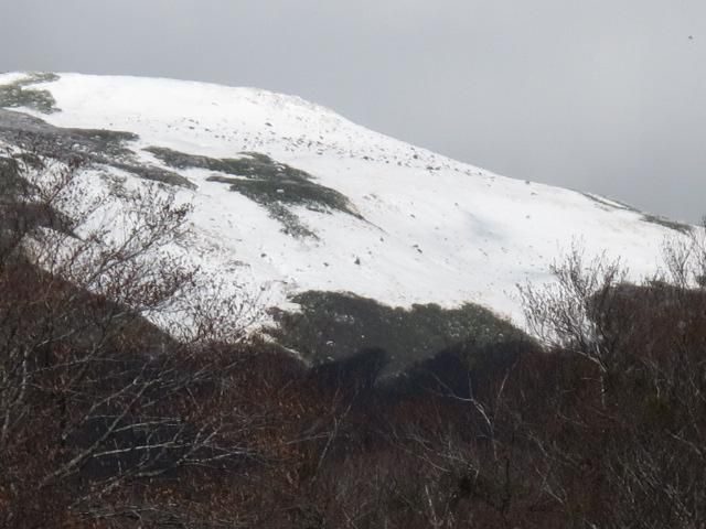 姥ヶ岳西斜面