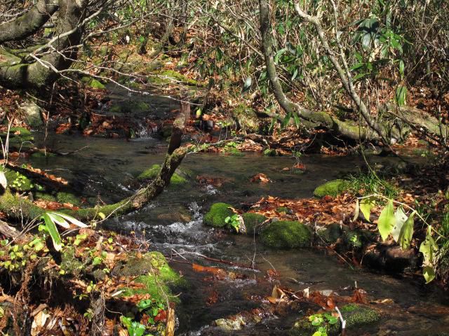 石跳川源頭湯殿山系　