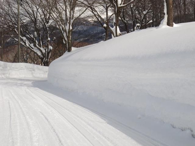 今年初めての月山へ