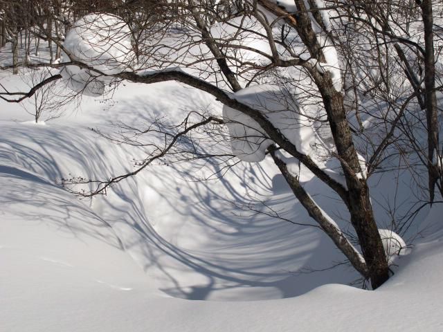 埋もれる渓谷