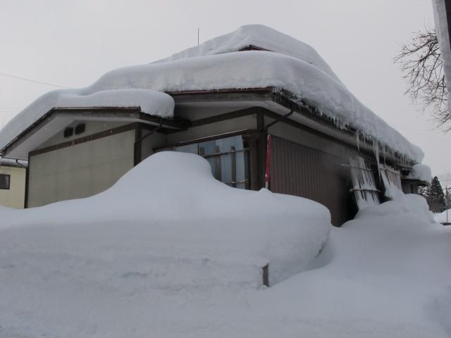 里山の積雪