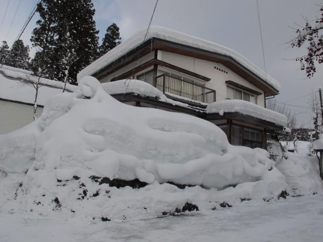 里山の雪