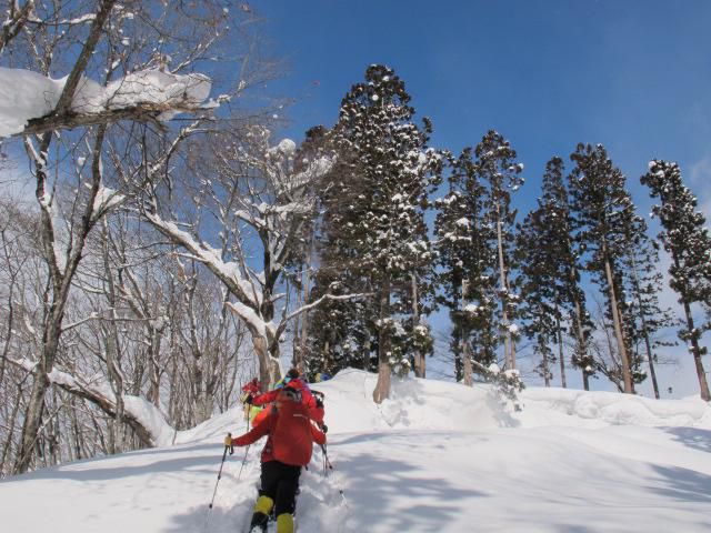 岩根沢の盾跡