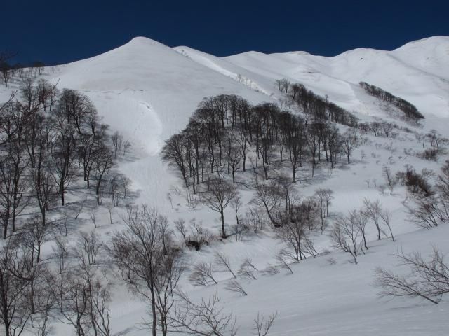 対岸に湯殿山