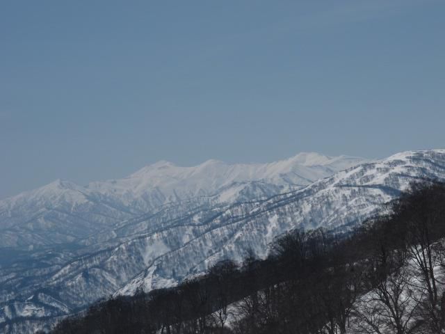 1200mからのふり返り