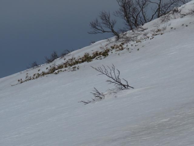 積雪の調整