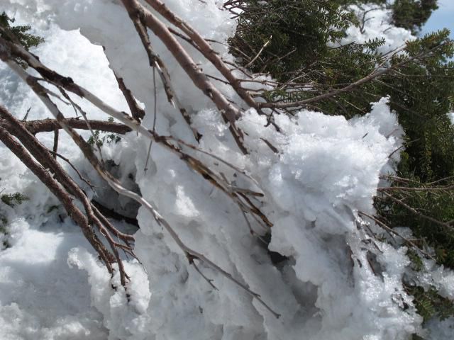 隙間無く入り込む雪