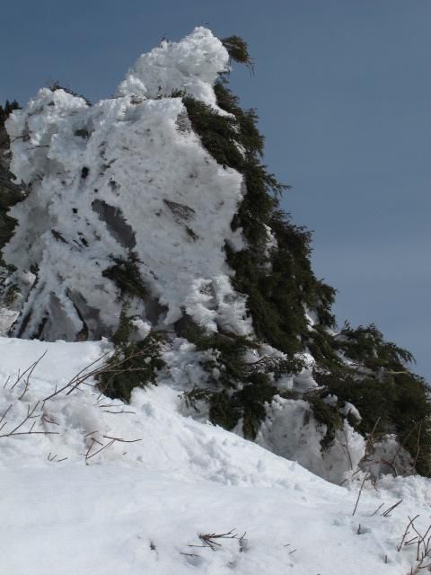 北西の斜面から　2