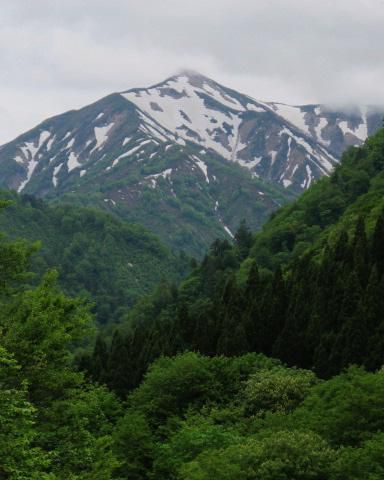 おなじみの風景