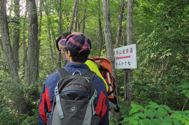 古里の山　天狗山に