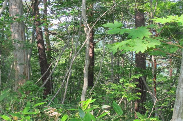 生活の山