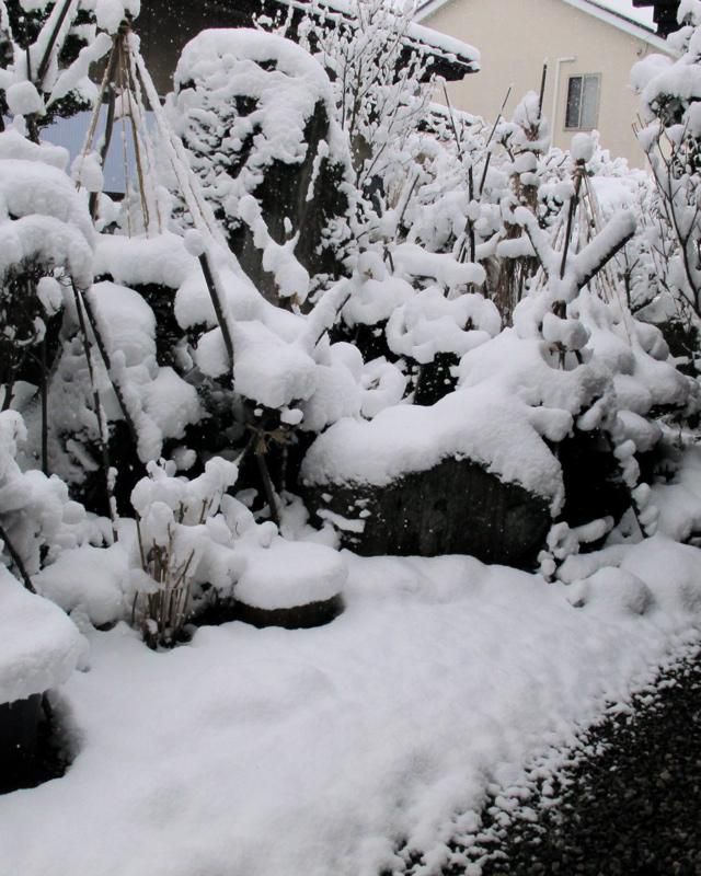 2017初の大雪