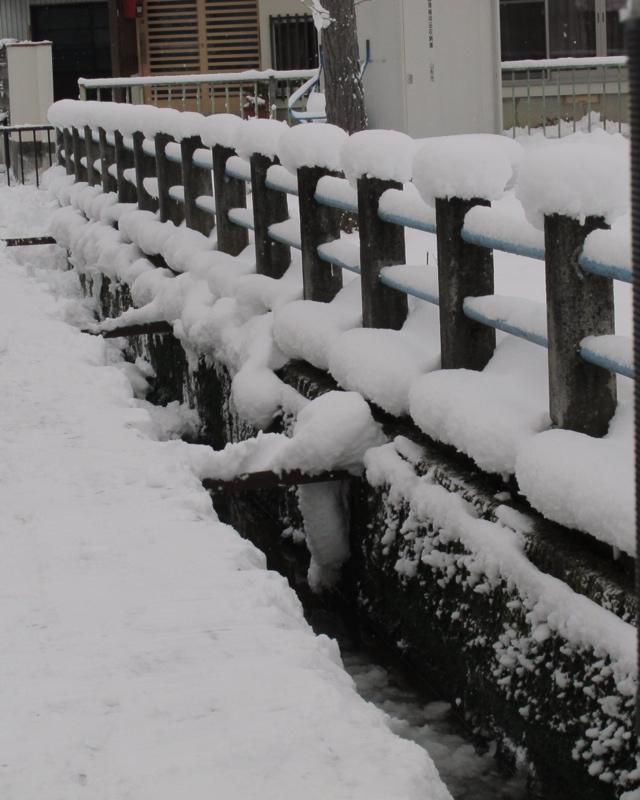 着雪