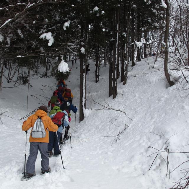 いよいよ里山に