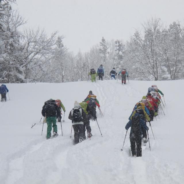 パウダーの雪