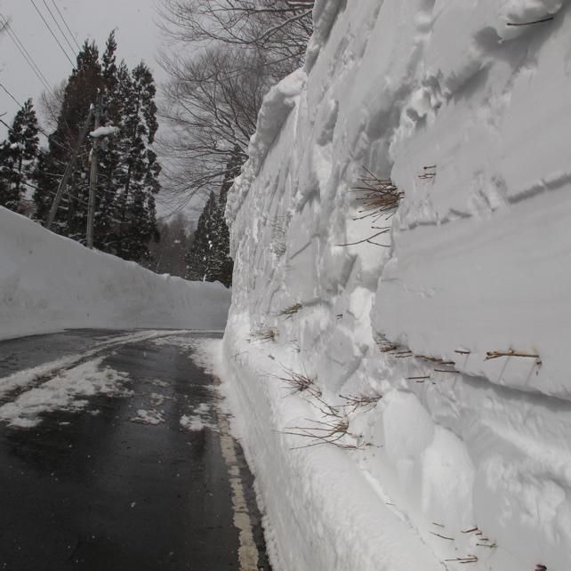 除雪