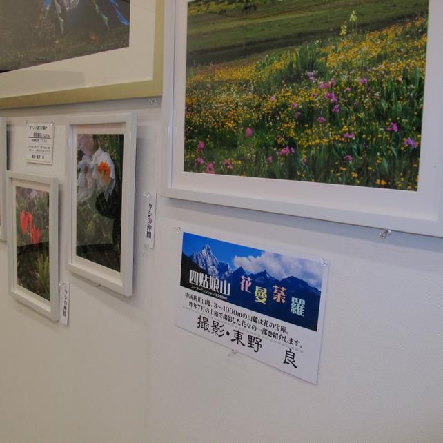 山岳写真展