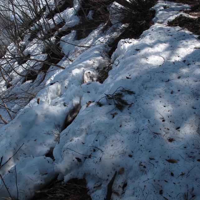 尾根沿いの雪　一部