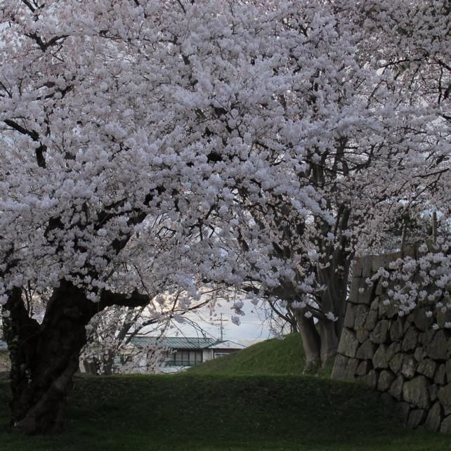 公園西堀