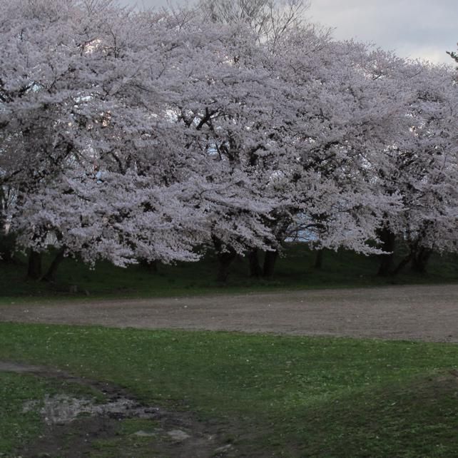 公園西グランド