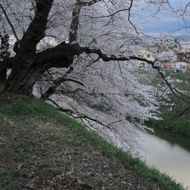 公園東　線路沿い