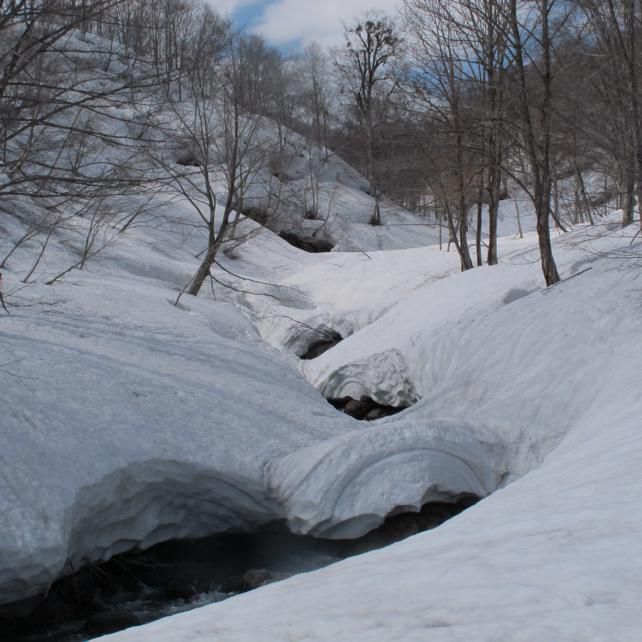 沢の雪解け